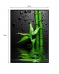 Quadro Decorativo Barcelona Verde & Gotas Vd 50x70 cm