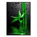 Quadro Decorativo Barcelona Verde & Gotas Vd 50x70 cm