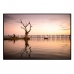 Quadro Decorativo Barcelona Arvore Anoitecer Rx 60x90 cm