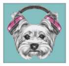 Quadro Decorativo Barcelona Cachorro Moldura Preta 30x30cm