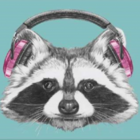 Quadro Decorativo Barcelona Guaxinim Moldura Preta 30x30cm